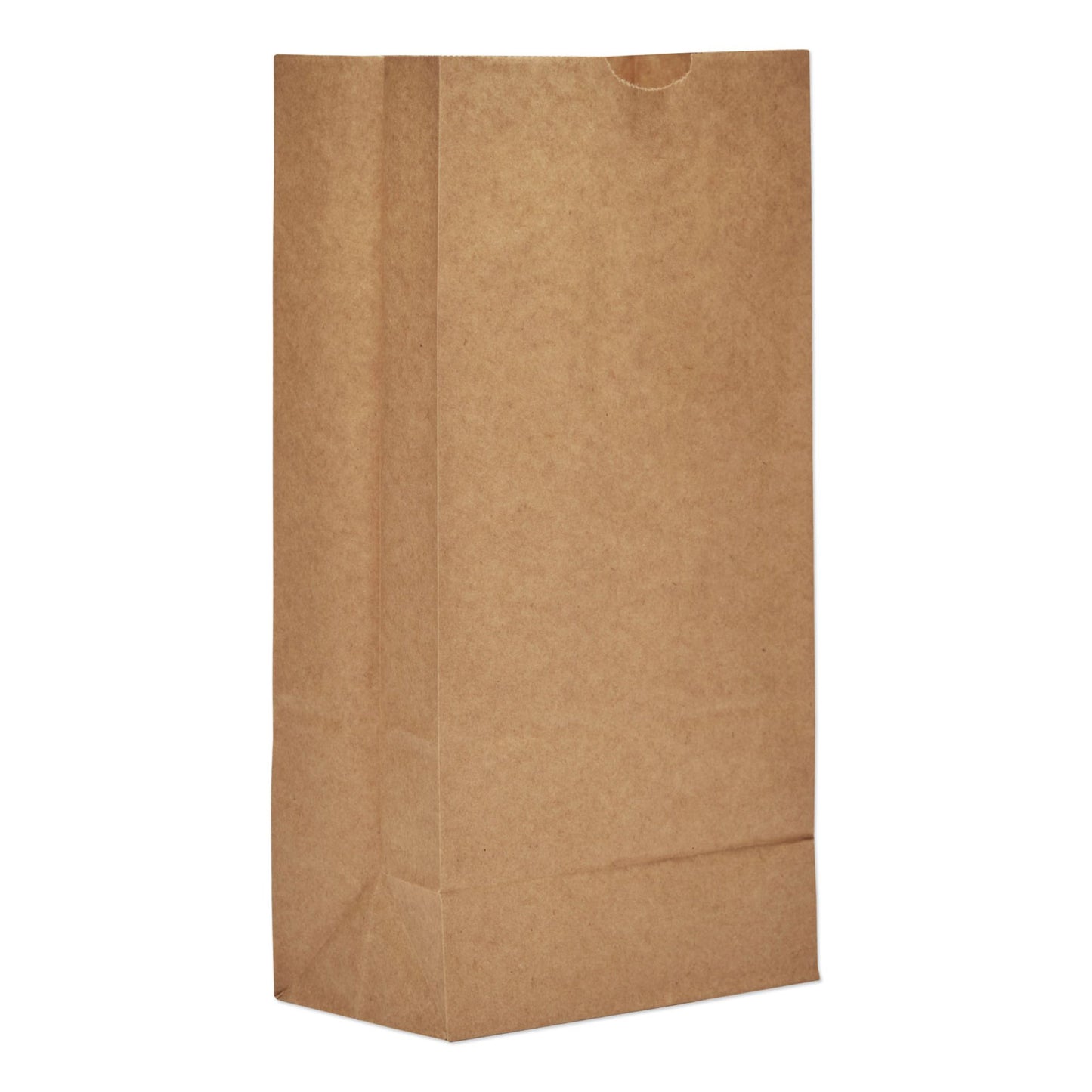 BAG, PAPER STD-DTY #5