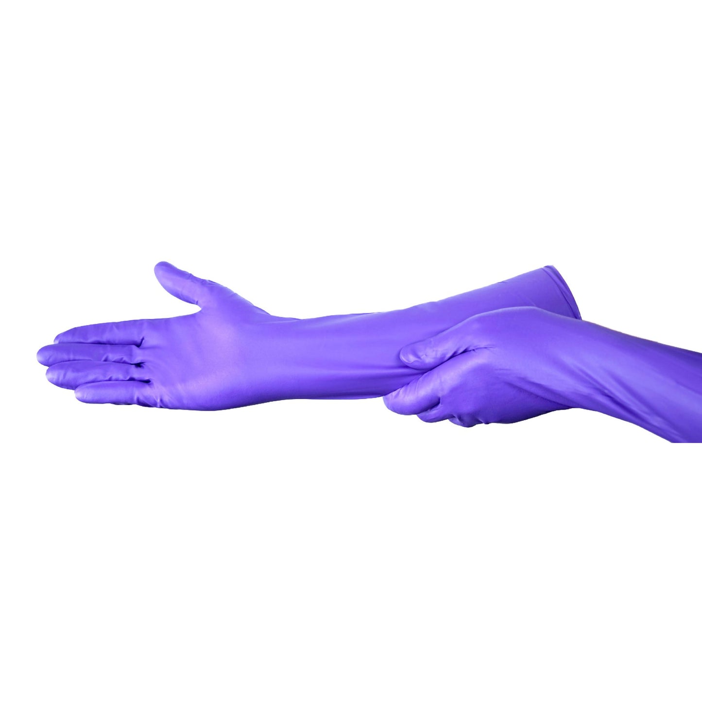 GLOVE, EXAM NTRL SM N/S EXTCF16IN