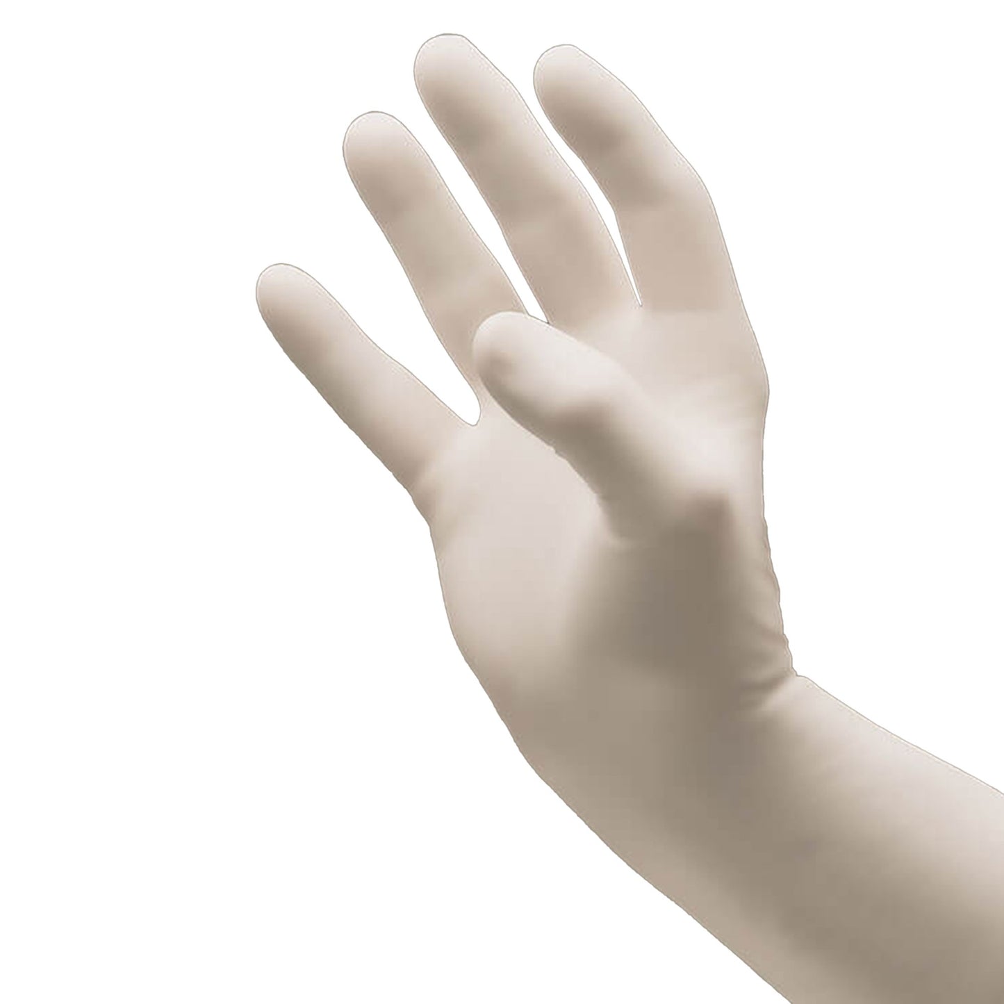 GLOVE, EXAM NTRL LG N/S OAT