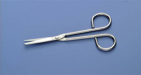 SCISSOR, NURSE SH/BL STR DISP5 1/4