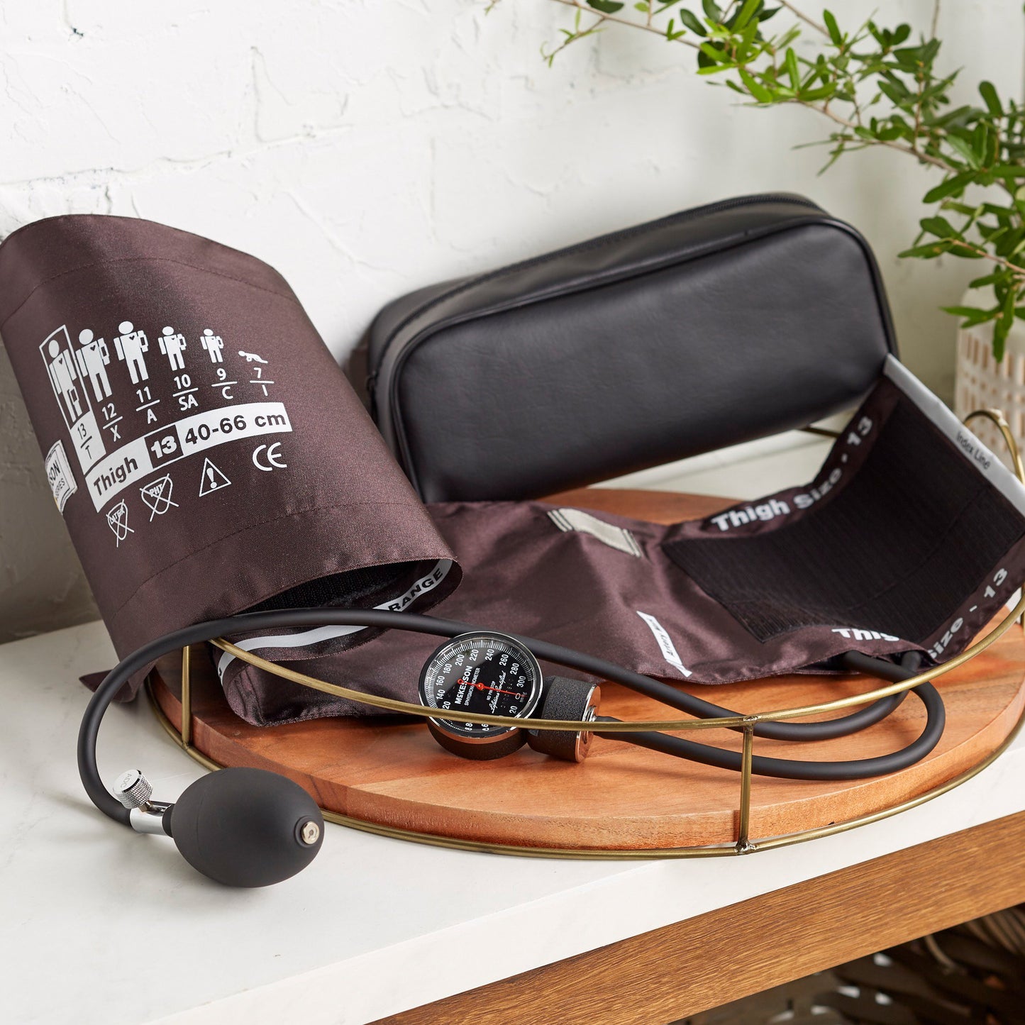 SPHYG, ANEROID DLX LF THIGH BRN