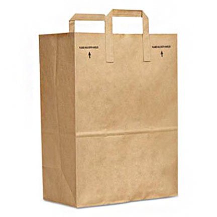 BAG, PAPER W/PAPER HANDLE