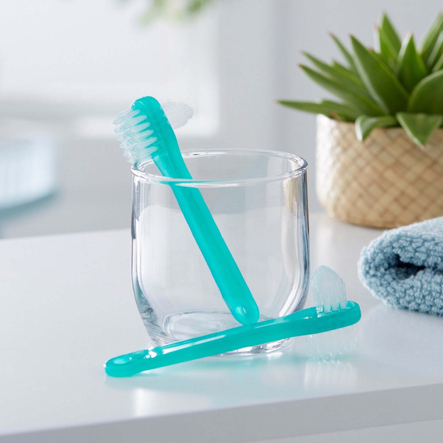 DENTURE BRUSH, LF
