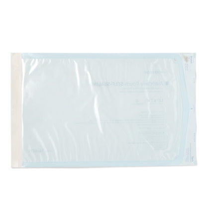 POUCH, SELF SEAL ECON 12X18