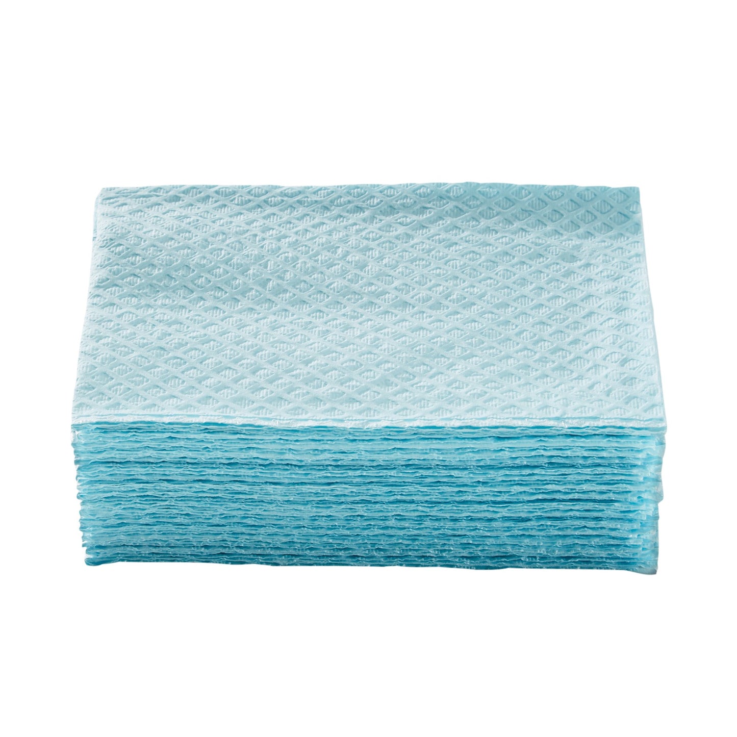 TOWEL, PRO 2PLY ECON BLU 13X18