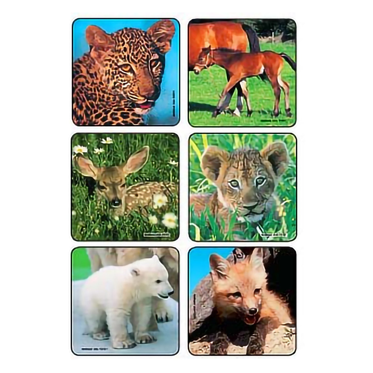 STICKER, BABY ANIMALS