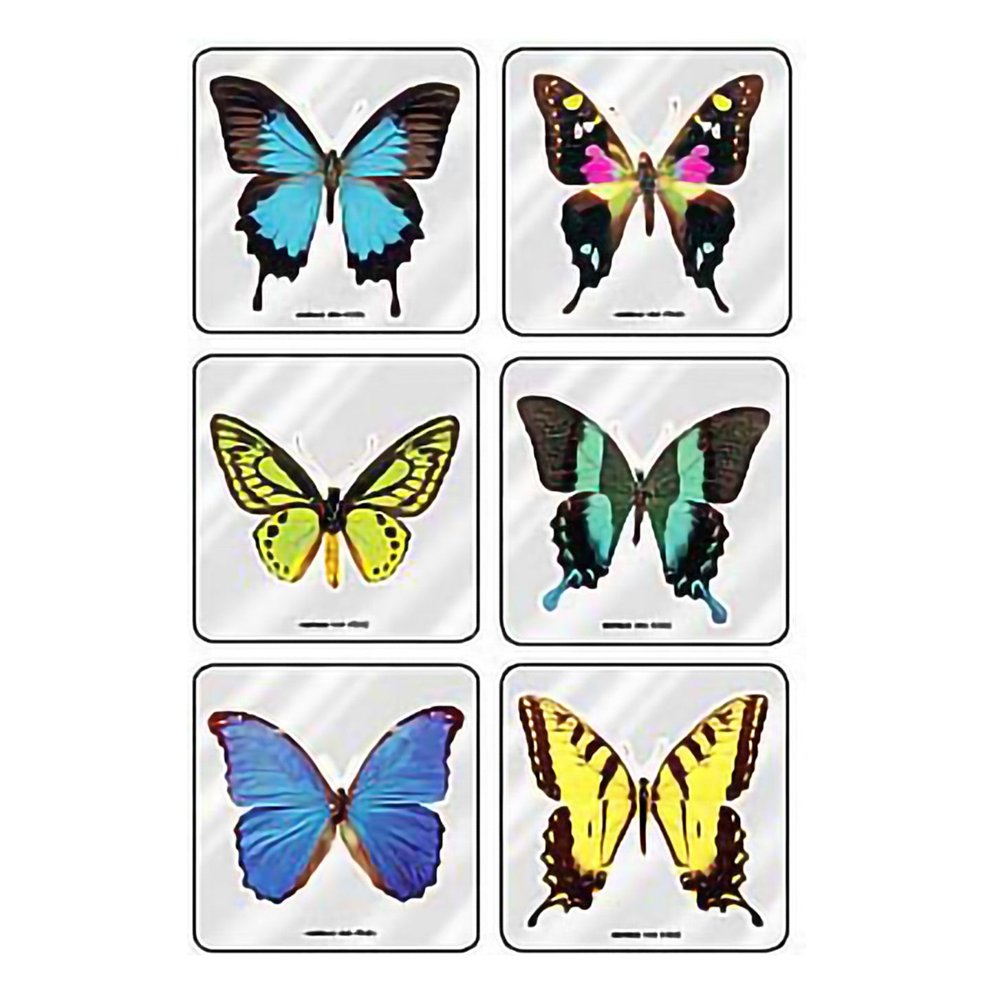 STICKER, BUTTERFLIES