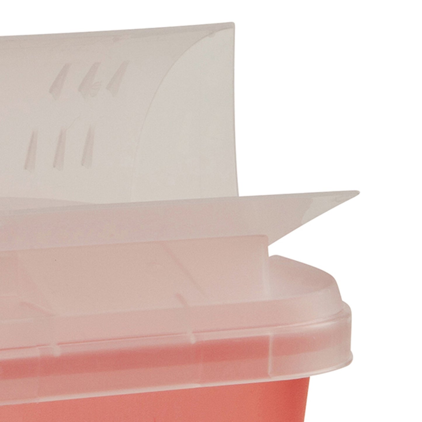CONTAINER, SHARPS RED 2GL