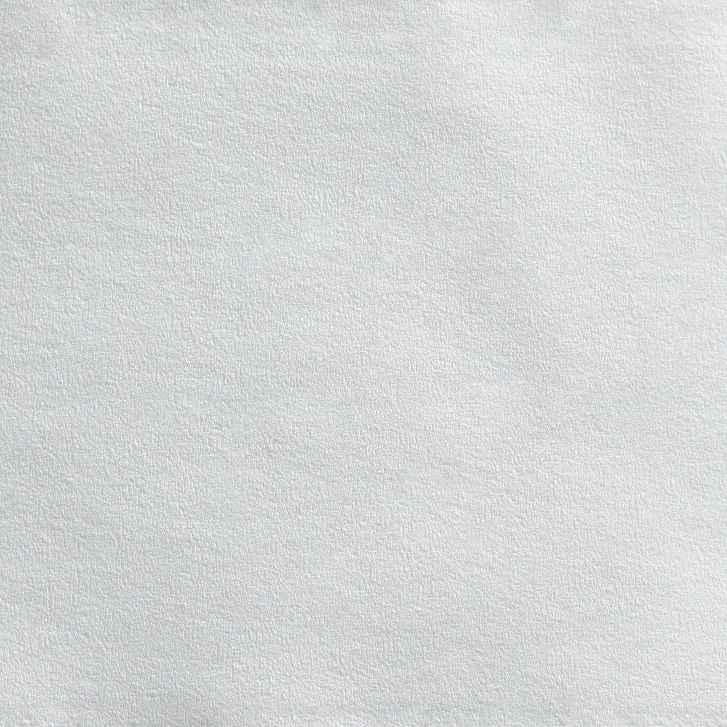 TISSUE, TOILET ENVSN 2PLY JUMBO WHT