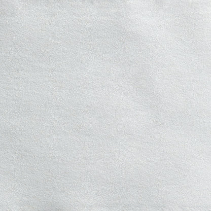 TISSUE, TOILET ENVSN 2PLY JUMBO WHT