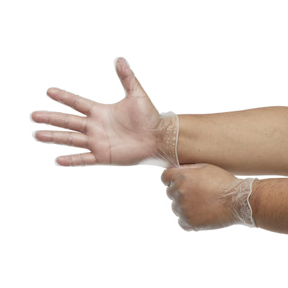 GLOVE, EXAM VNYL LG N/S