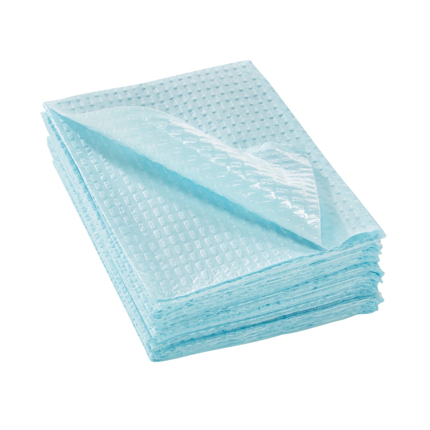 TOWEL, PRO 2PLY/POLY BLU 13X18