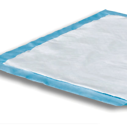 UNDERPAD, DRI-SORB 23X36"