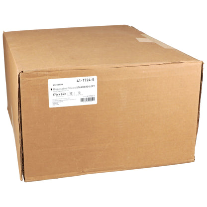 PILLOW, DISP STD LOFT WHT 17X24