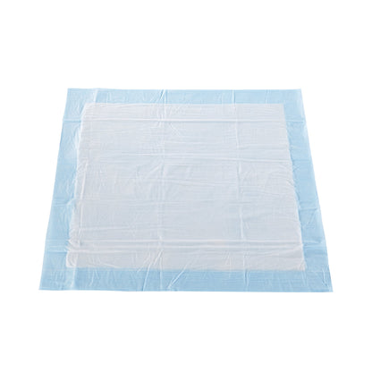 UNDERPAD, LIGHT ABSRB 23X24
