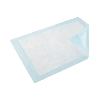 UNDERPAD, EXTR 23"X36"