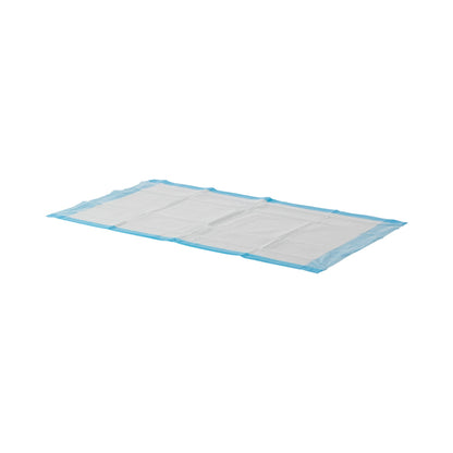 UNDERPAD, SFT ABSRB DISP 23"X36" 45GR