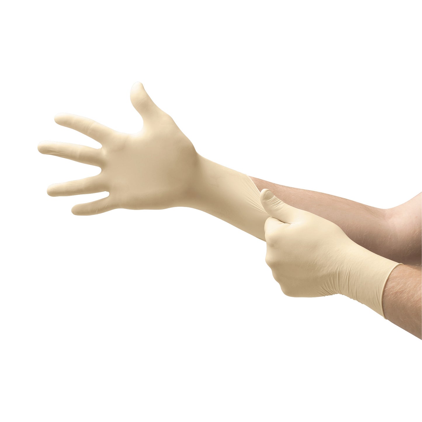 GLOVE, EXAM LTX SM N/S