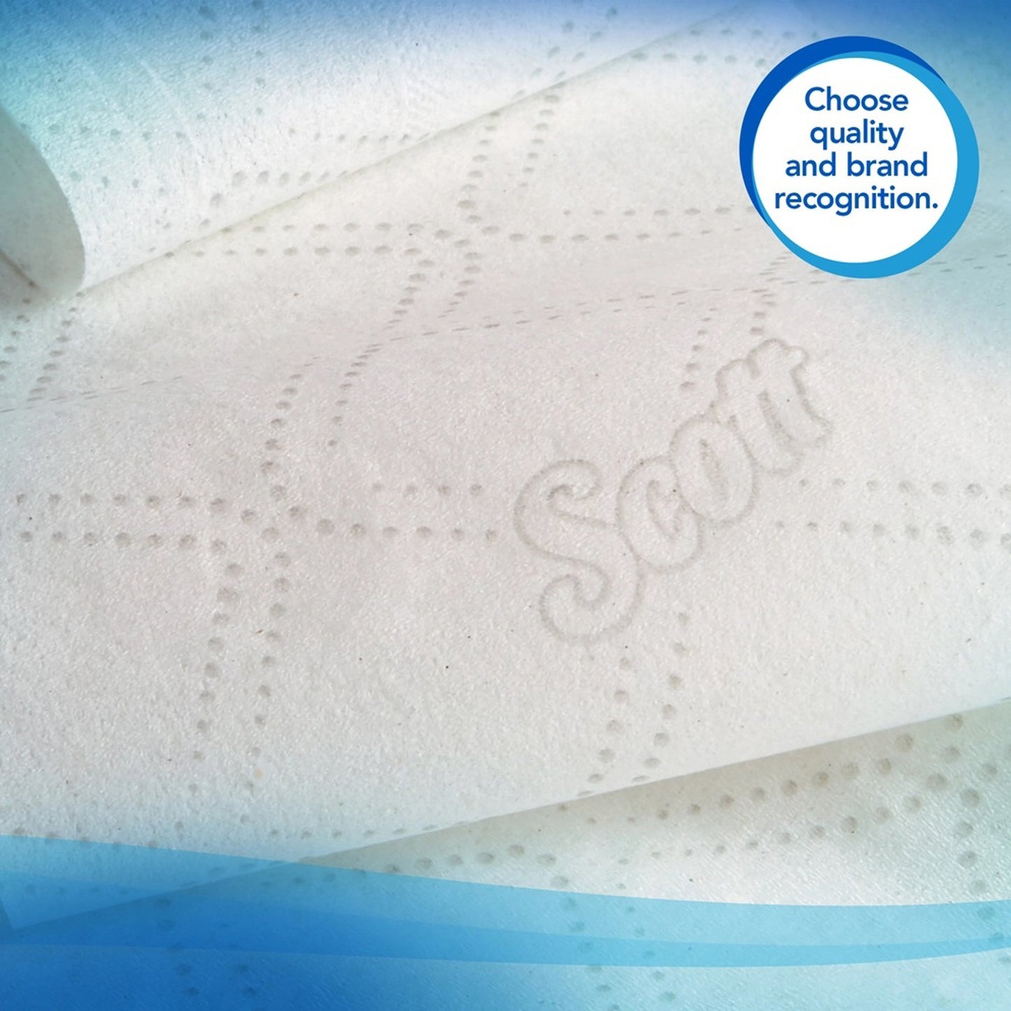 TISSUE, TOILET CORELESS JR 2PLY