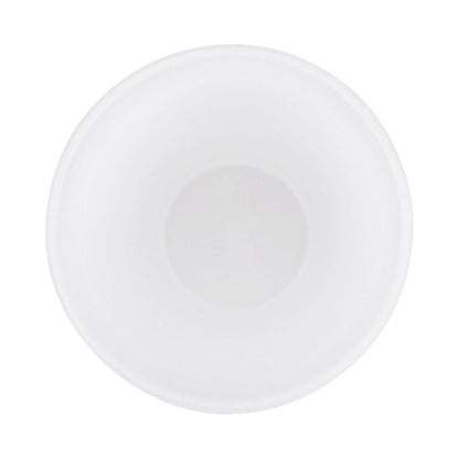 CUP 20OZ FOAM 25/BXSLV=BX 20BX/CS
