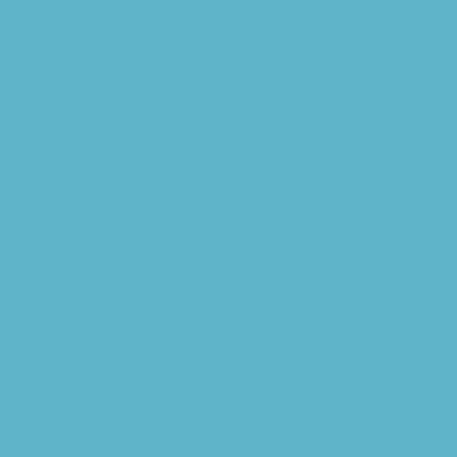 TOWEL, PROF 2PLY POLY BLU 13X18