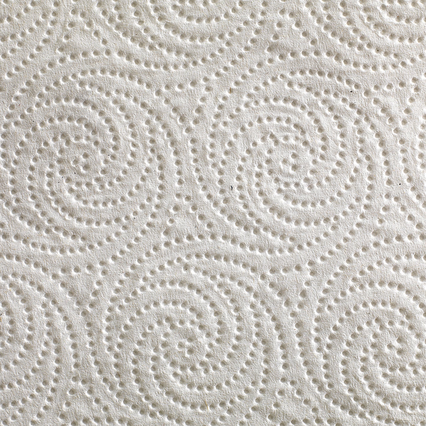 TOWEL, PAPER PRFM 2PLY RL KTCHN