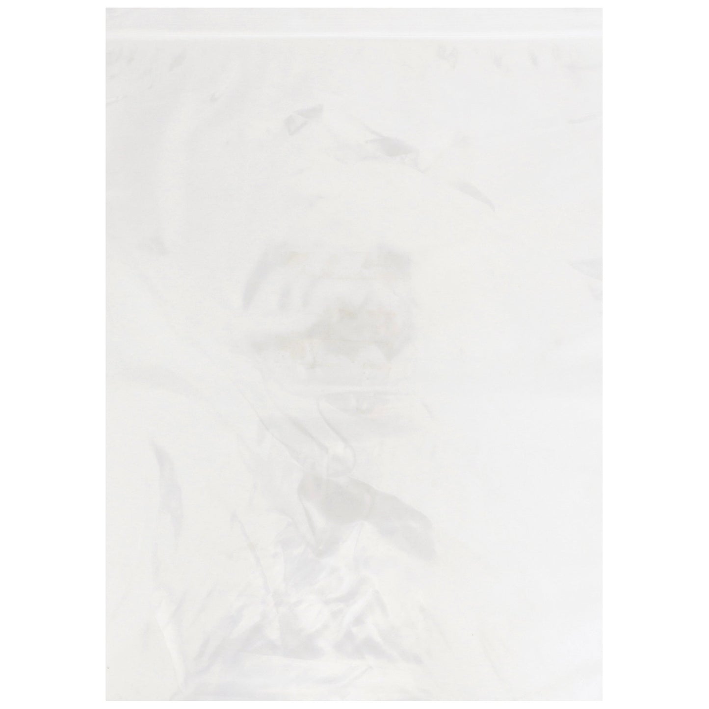 BAG, ZIP LOCK 10X13