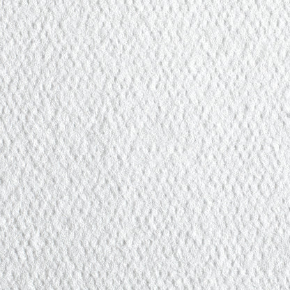 WIPER, PT CARE GP PRO PACIFICWHT DISP 1/4"