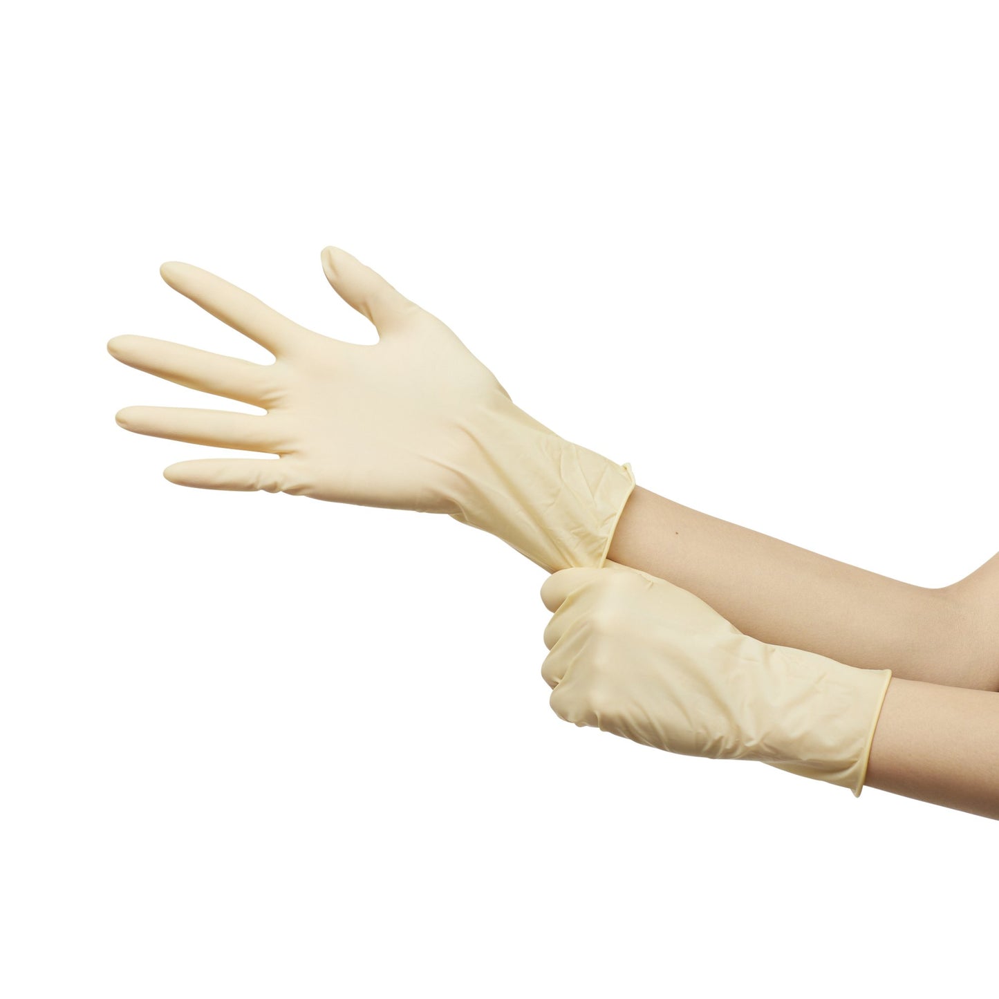 GLOVE, EXAM LTX SM N/S