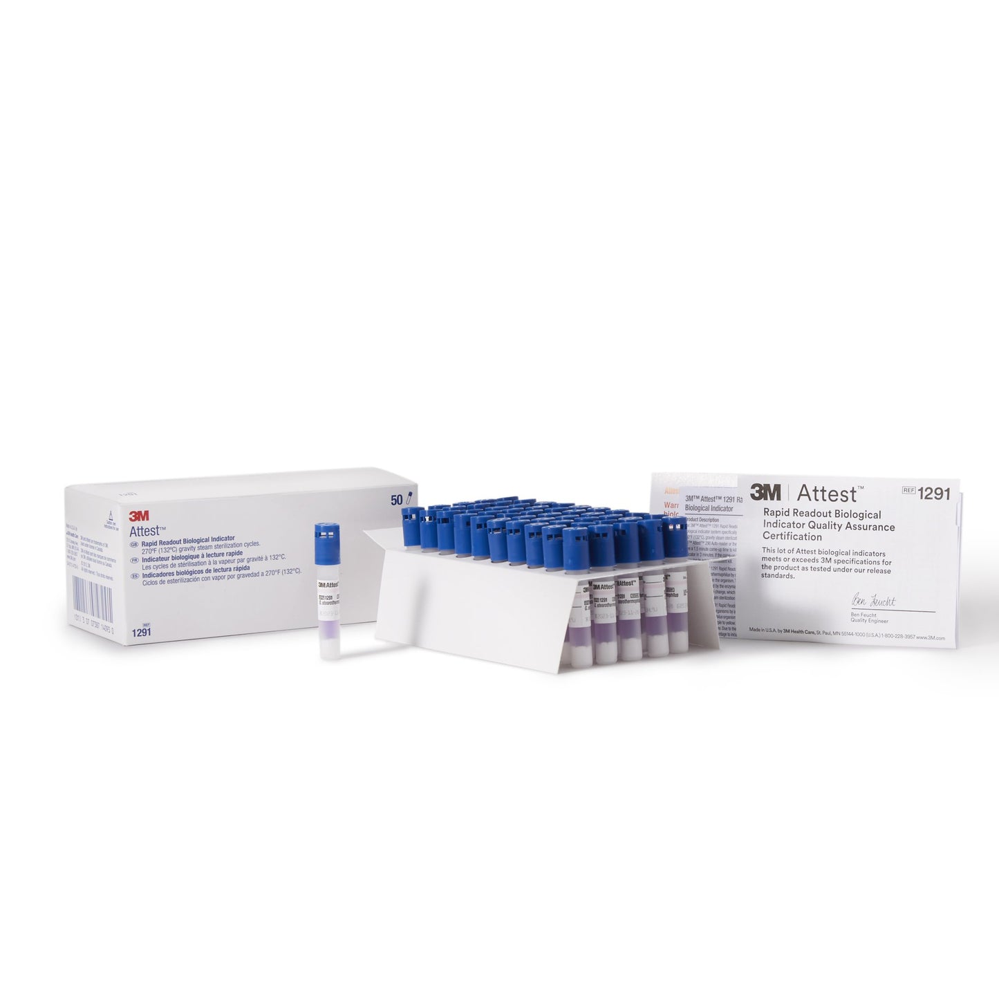 INDICATOR, STEAM ATTEST RAPID