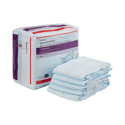 BRIEF, WINGS QUILTED OVERNT LG