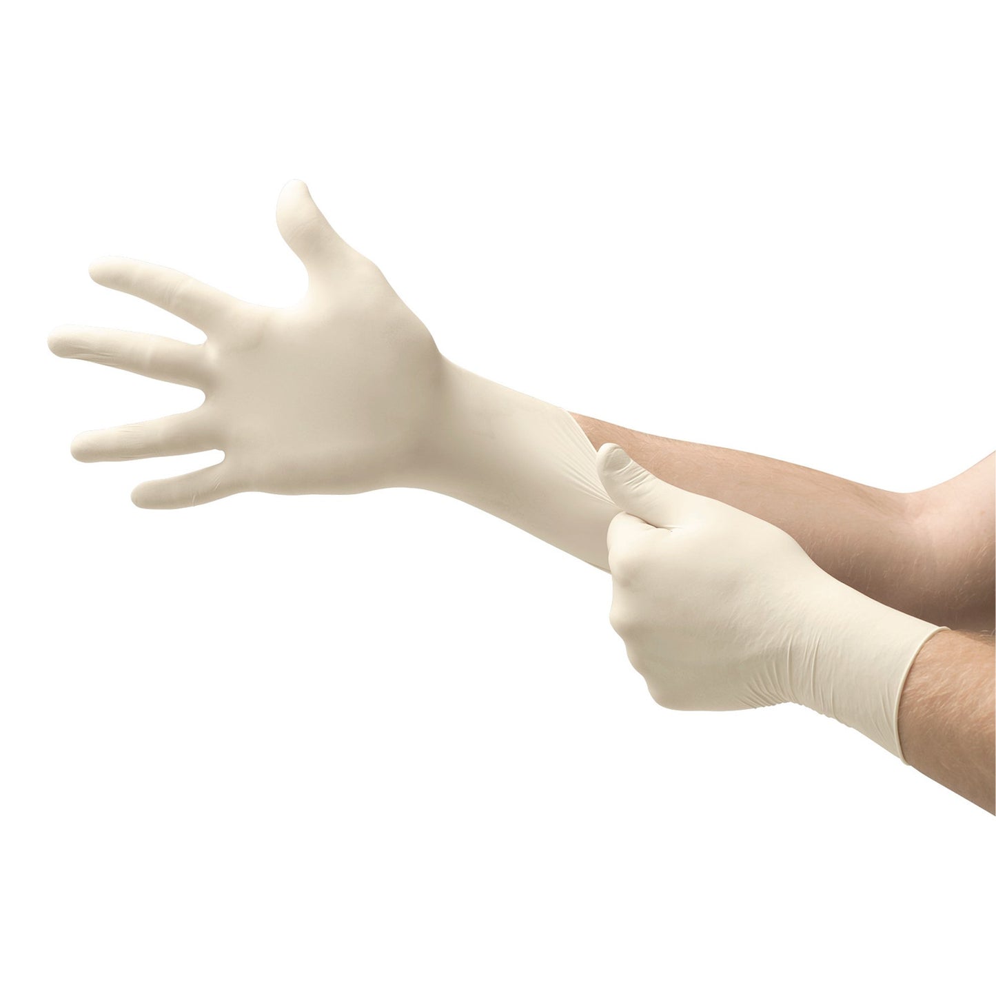 GLOVE, EXAM LTX SM N/S