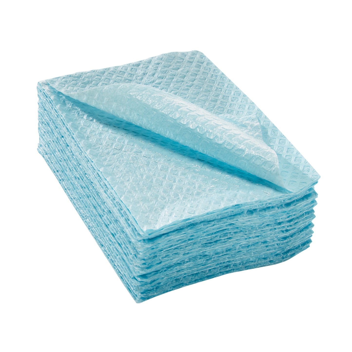 TOWEL, PRO 2PLY ECON BLU 13X18
