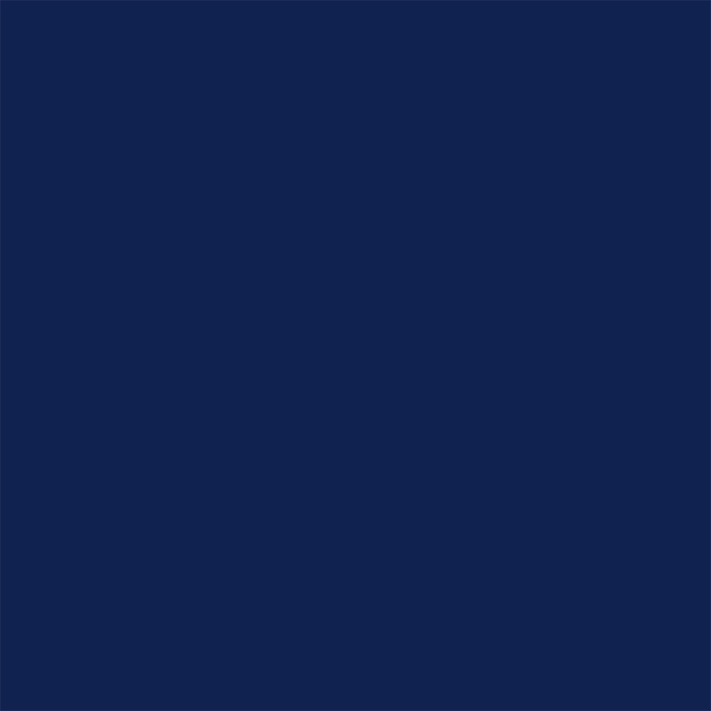 TAPE, CAST DELTA-LITE+ 2"X4YDSDEEP BLU
